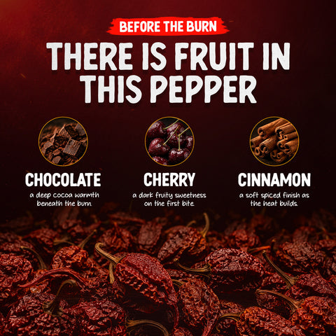 Carolina Reaper Whole Dried Chilli Peppers 10g – Extremely Hot 2,200,000 SHU – 100% Carolina Reaper Chillies from Ecuador