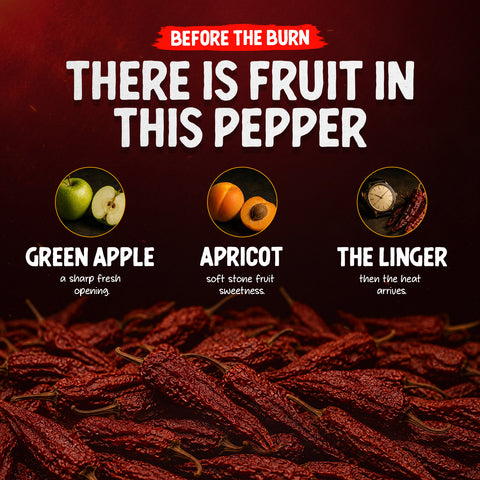 Naga Bhut Jolokia Whole Dried Chilli Peppers 10g – Ghost Chillies from India – Up to 1,000,000 SHU – Sweet Fruity Flavour