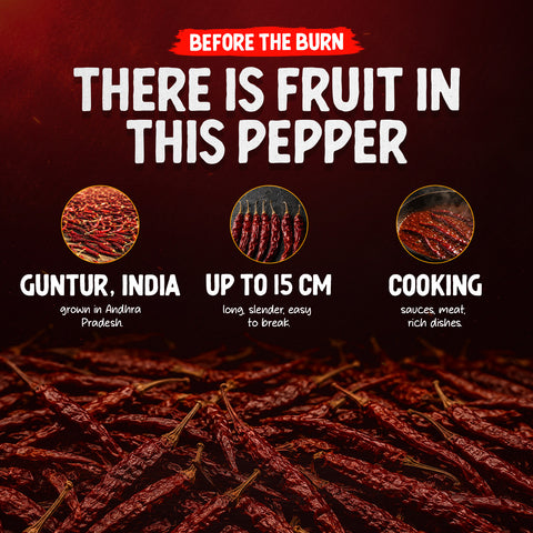 S4 Guntur Sannam Whole Dried Chilli Peppers 30g – Indian Red Chillies – Approx. 50,000 SHU – Long Peppers for Curries, Meat and Sauces